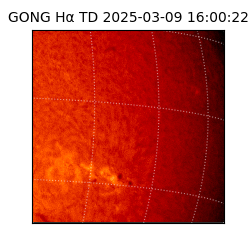 gong - 2025-03-09T16:00:22