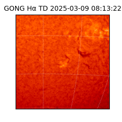 gong - 2025-03-09T08:13:22