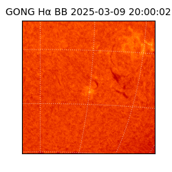 gong - 2025-03-09T20:00:02