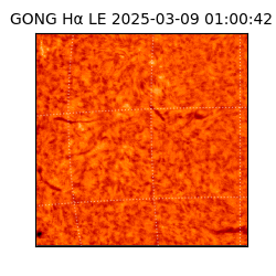 gong - 2025-03-09T01:00:42