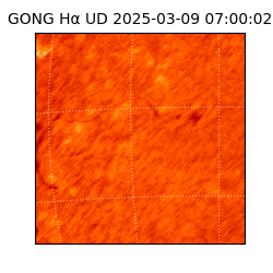 gong - 2025-03-09T07:00:02