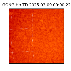 gong - 2025-03-09T09:00:22