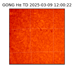 gong - 2025-03-09T12:00:22