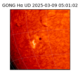 gong - 2025-03-09T05:01:02