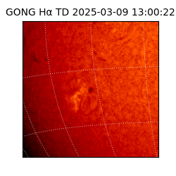 gong - 2025-03-09T13:00:22