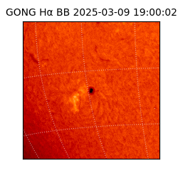 gong - 2025-03-09T19:00:02