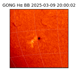 gong - 2025-03-09T20:00:02