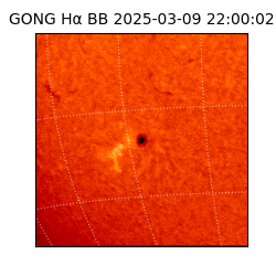 gong - 2025-03-09T22:00:02