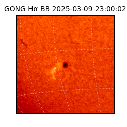 gong - 2025-03-09T23:00:02