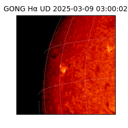 gong - 2025-03-09T03:00:02