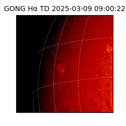 gong - 2025-03-09T09:00:22
