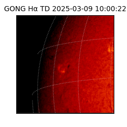 gong - 2025-03-09T10:00:22