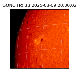 gong - 2025-03-09T20:00:02