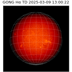 gong - 2025-03-09T13:00:22