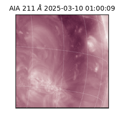 saia - 2025-03-10T01:00:09.626000