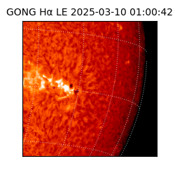 gong - 2025-03-10T01:00:42