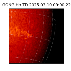 gong - 2025-03-10T09:00:22