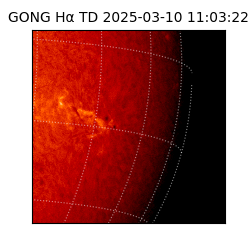 gong - 2025-03-10T11:03:22