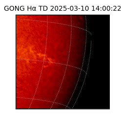 gong - 2025-03-10T14:00:22