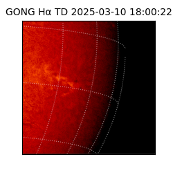 gong - 2025-03-10T18:00:22