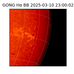 gong - 2025-03-10T23:00:02
