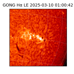 gong - 2025-03-10T01:00:42