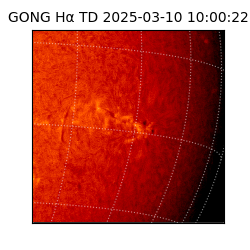 gong - 2025-03-10T10:00:22