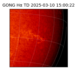 gong - 2025-03-10T15:00:22