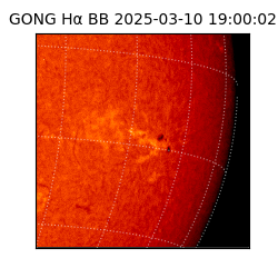gong - 2025-03-10T19:00:02