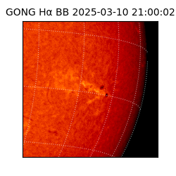 gong - 2025-03-10T21:00:02