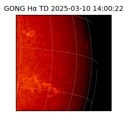 gong - 2025-03-10T14:00:22