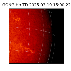 gong - 2025-03-10T15:00:22