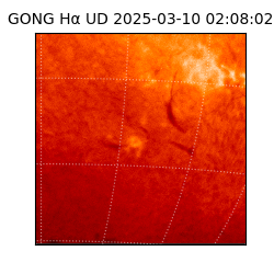 gong - 2025-03-10T02:08:02
