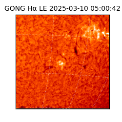 gong - 2025-03-10T05:00:42