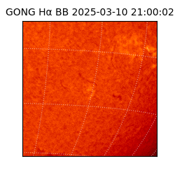 gong - 2025-03-10T21:00:02