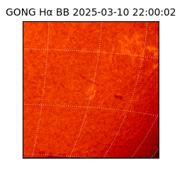 gong - 2025-03-10T22:00:02