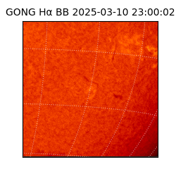 gong - 2025-03-10T23:00:02