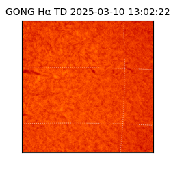gong - 2025-03-10T13:02:22