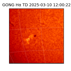 gong - 2025-03-10T12:00:22