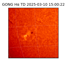 gong - 2025-03-10T15:00:22