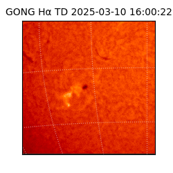 gong - 2025-03-10T16:00:22