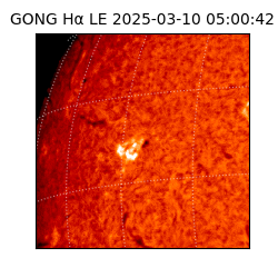 gong - 2025-03-10T05:00:42