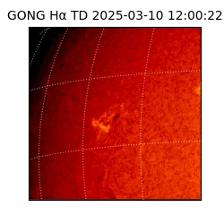 gong - 2025-03-10T12:00:22