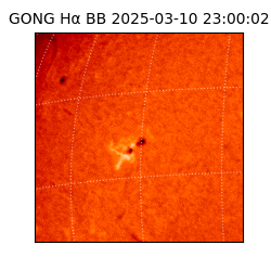 gong - 2025-03-10T23:00:02