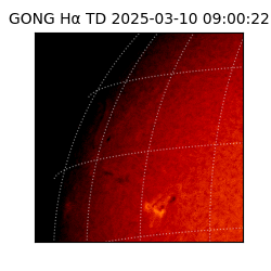 gong - 2025-03-10T09:00:22
