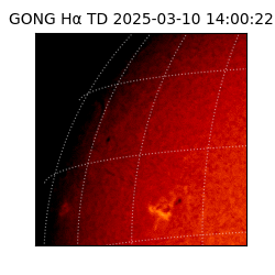 gong - 2025-03-10T14:00:22