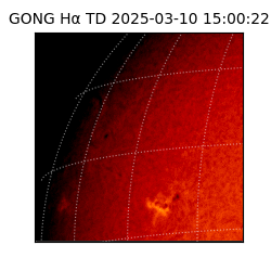 gong - 2025-03-10T15:00:22