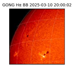 gong - 2025-03-10T20:00:02