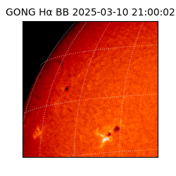 gong - 2025-03-10T21:00:02