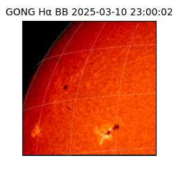 gong - 2025-03-10T23:00:02